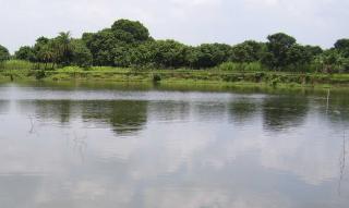 আমার দেশ